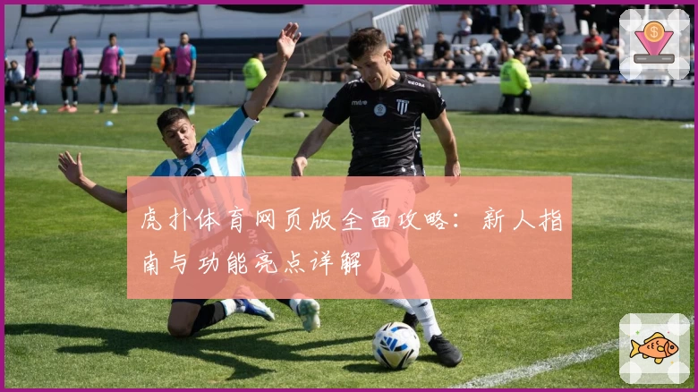 虎扑体育网页版全面攻略：新人指南与功能亮点详解