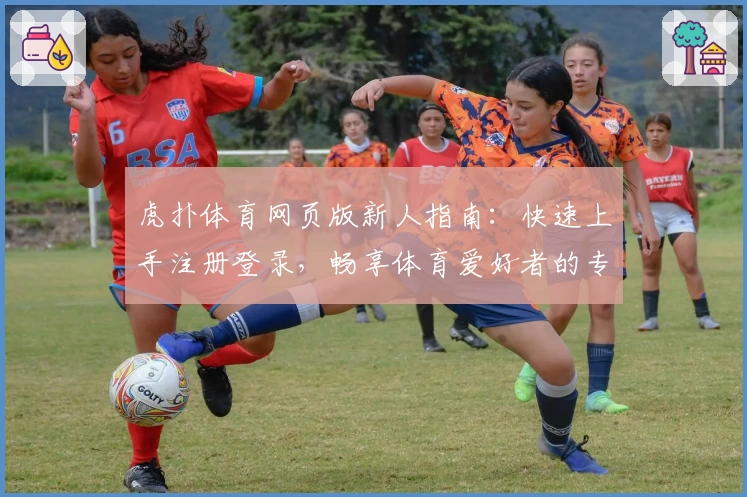虎扑体育网页版新人指南：快速上手注册登录，畅享体育爱好者的专属社区