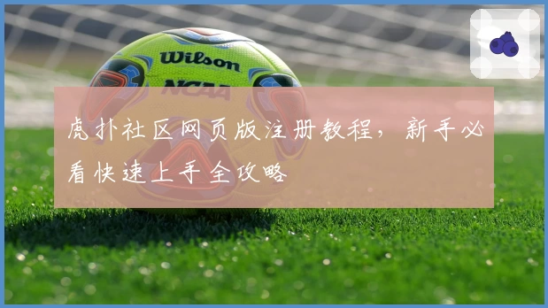 虎扑社区网页版注册教程，新手必看快速上手全攻略